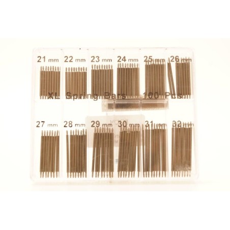 Ansette in assortimento da 100 pezzi