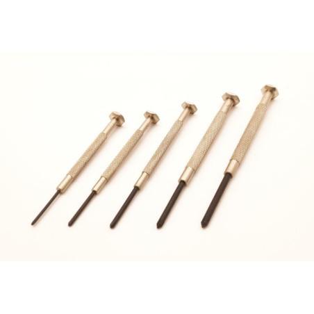 Assortimento di 5 cacciaviti a stella