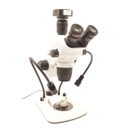 Microscopio 67,5 ingrandimenti