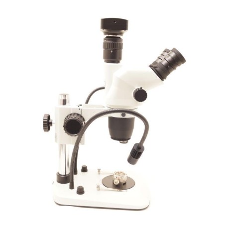 Microscopio 67,5 ingrandimenti