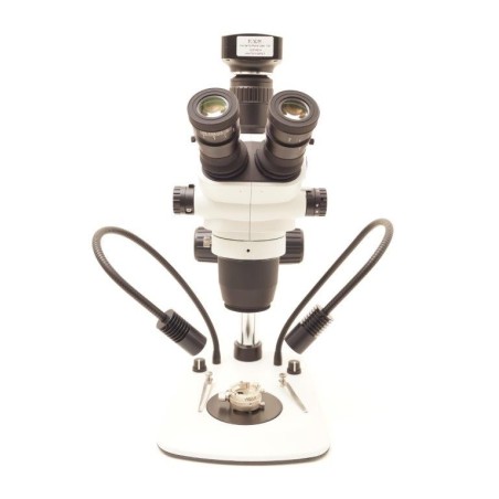 Microscopio 67,5 ingrandimenti