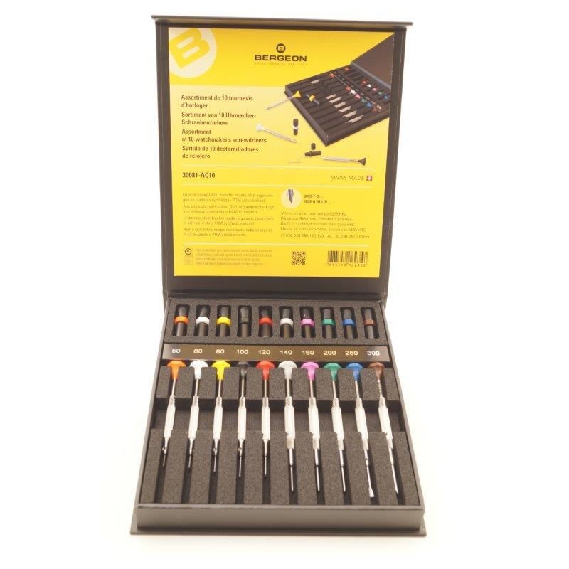 Assortimento di 10 cacciaviti in acciaio inox