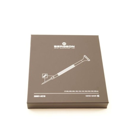 Assortimento di 10 cacciaviti in acciaio inox