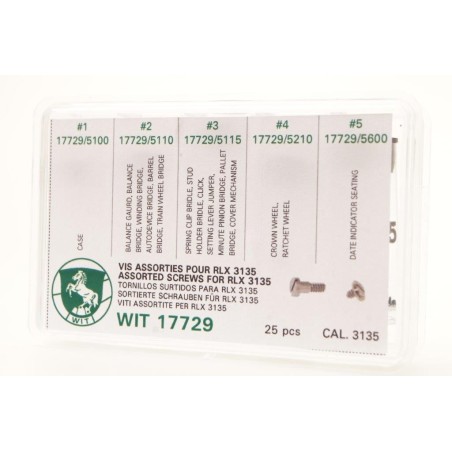 Assortimento viti per RLX 3135