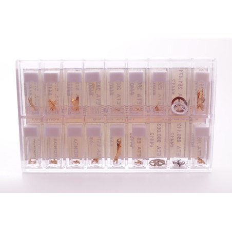 Assortimento bride per pile