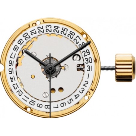 Movimento Eta F03 412