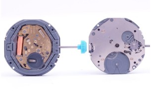 Movimento Citizen 6355