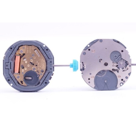 Movimento Citizen 6355