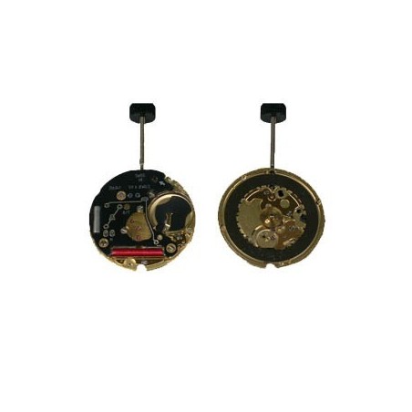 Movimento Eta 256.031